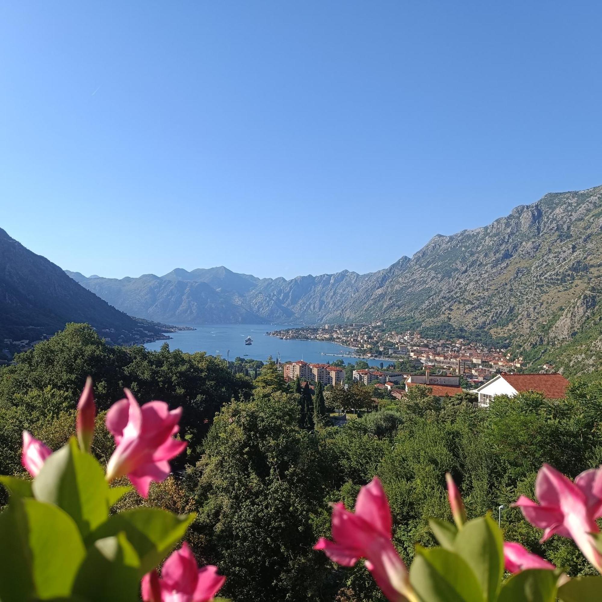Radgost Kotor Apartments Esterno foto